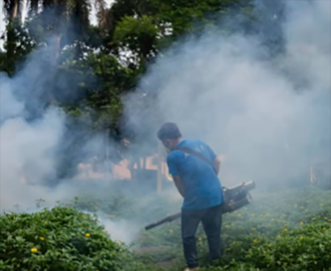 Pengasapan dilakukan di tempat-tempat yang berpotensi sarang nyamuk Aedes Spesies yang sama dengan demam berdarah/Foto: tangkap layar